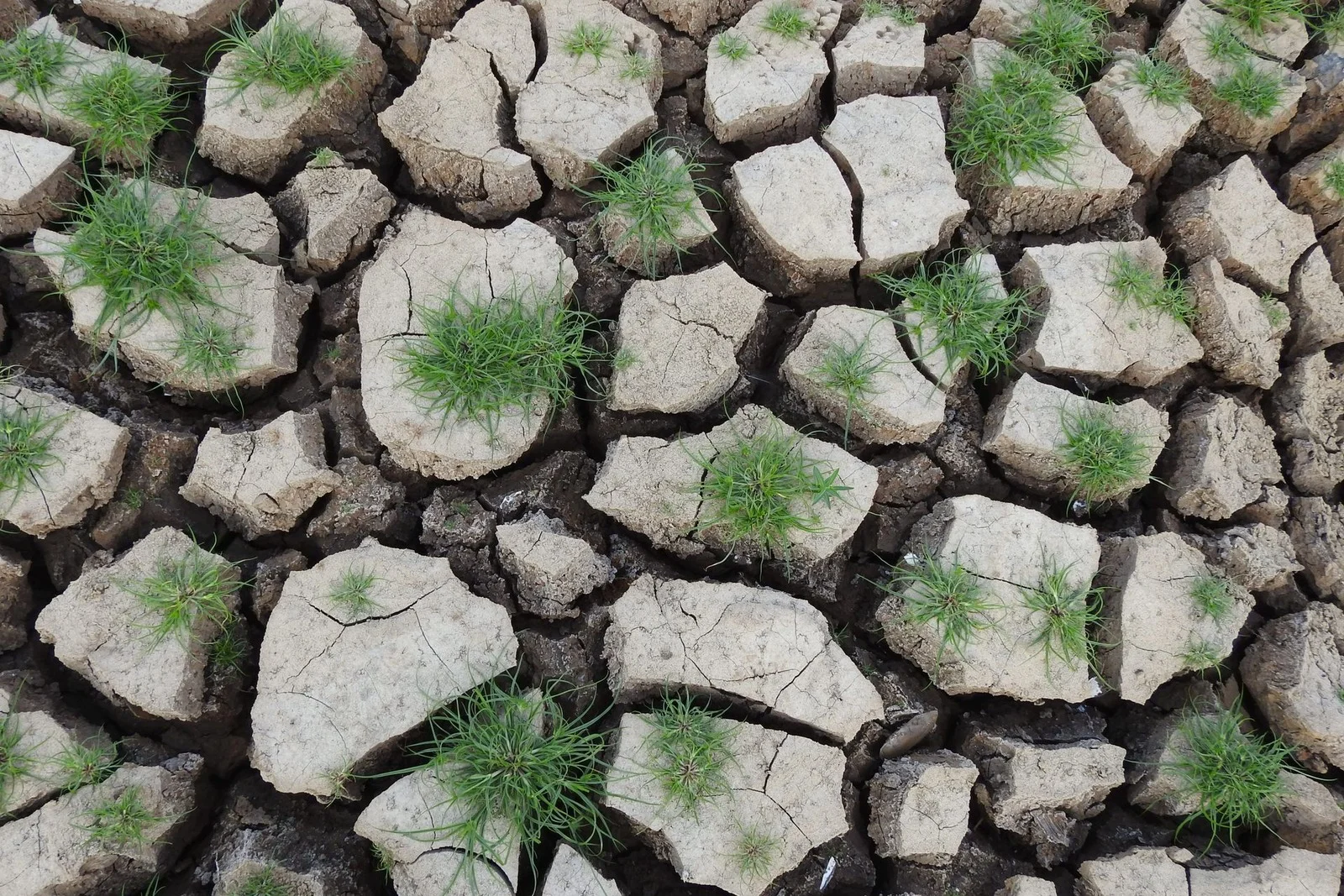 Sécheresse en Gironde : les nouvelles règles d&rsquo;utilisation de l&rsquo;eau que vous devez connaître