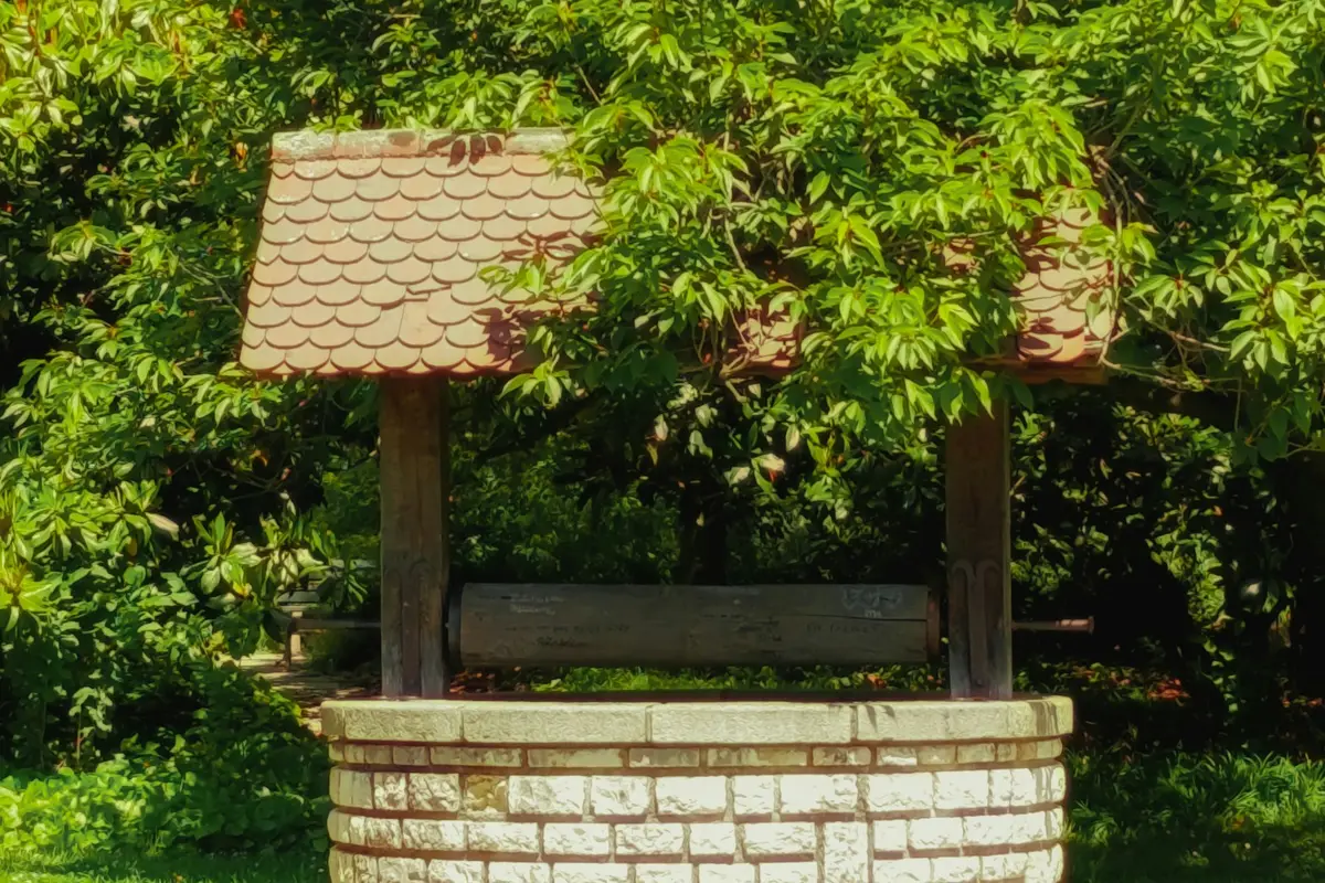 Puits en pierre au fond d’un jardin